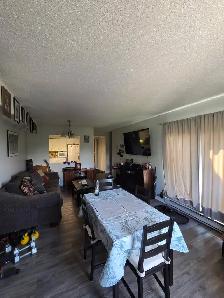 Spacious apartment for rent for female student/professional