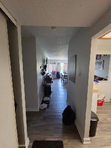 Spacious apartment for rent for female student/professional - Photo 2