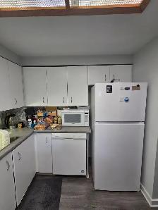 Spacious apartment for rent for female student/professional - Photo 3