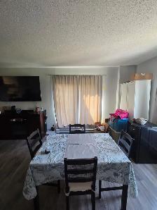 Spacious apartment for rent for female student/professional - Photo 10