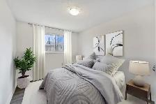 3 3 Bungalow House For Rent In Barrie - Photo 16
