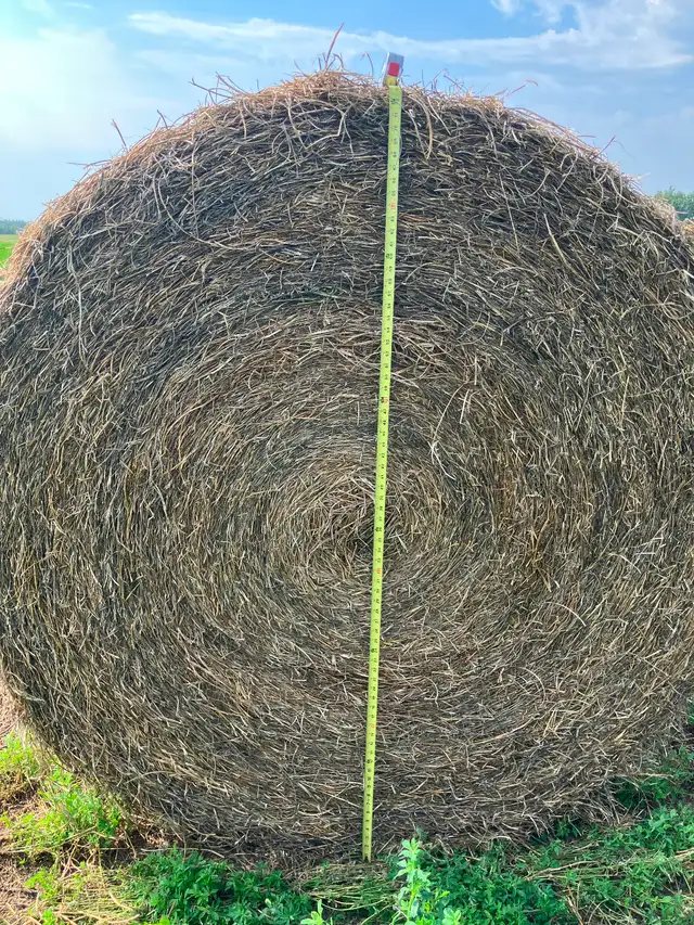 Hay Bales For Sale