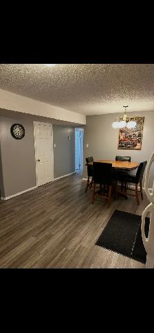 Fully furnished 2 bedroom half duplex for rent (utilities incl) - Photo 2