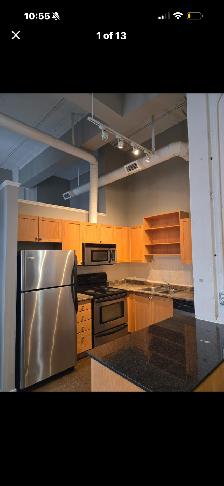 Kaufman Loft 1 bdrm   den (could use as 2nd room Balcony  Oct 1! - Photo 3