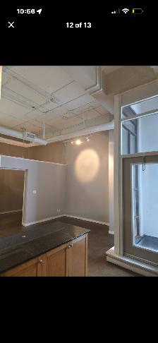 Kaufman Loft 1 bdrm   den (could use as 2nd room Balcony  Oct 1! - Photo 5