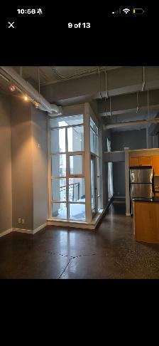 Kaufman Loft 1 bdrm   den (could use as 2nd room Balcony  Oct 1! - Photo 7
