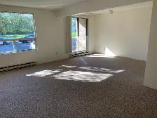 Spotless, spacious 1 Bedroom apt top floor - Photo 2