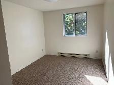 Spotless, spacious 1 Bedroom apt top floor - Photo 3