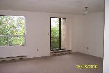 Spotless, spacious 1 Bedroom apt top floor - Photo 4