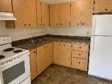 Spotless, spacious 1 Bedroom apt top floor - Photo 5