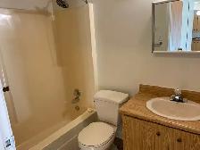 Spotless, spacious 1 Bedroom apt top floor - Photo 7