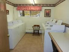 Spotless, spacious 1 Bedroom apt top floor - Photo 8