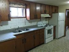 3-Bedroom Basement Apartment for Rent – Malton, Mississauga - Photo 7