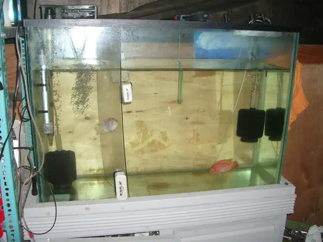 MOVING SALE 45 GALLON AQUARIUM SET UP RUNNING $175