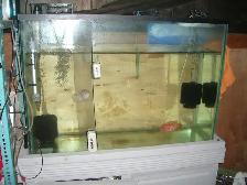 MOVING SALE 45 GALLON AQUARIUM SET UP RUNNING $175