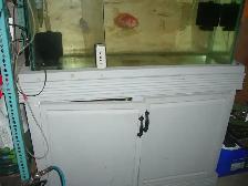 MOVING SALE 45 GALLON AQUARIUM SET UP RUNNING $175 - Photo 3