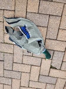 Wind drake mallard decoy