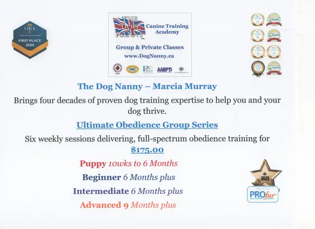 Ultimate Obedience Group Series