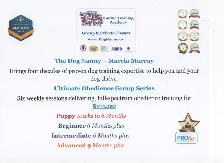 Ultimate Obedience Group Series