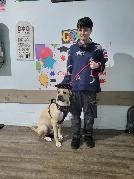 Ultimate Obedience Group Series - Photo 7