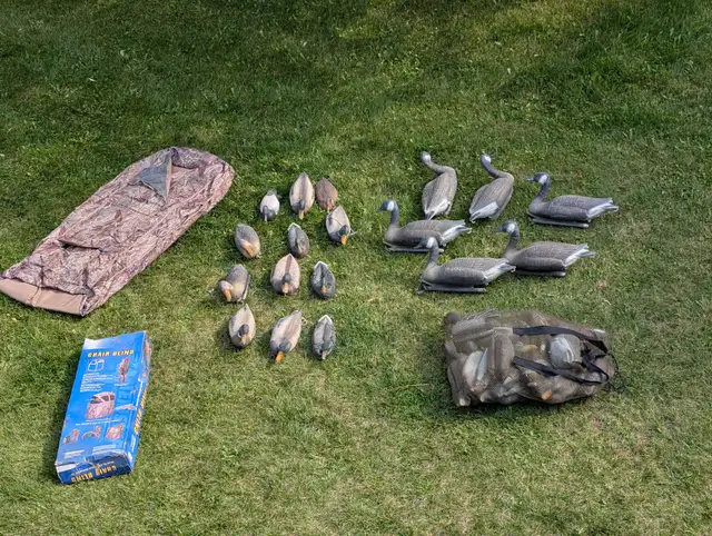 Duck and geese decoys. layout blind