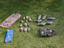 Duck and geese decoys. layout blind