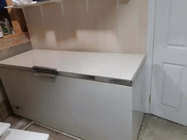 41 Cu feet Chest Freezer