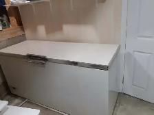 41 Cu feet Chest Freezer