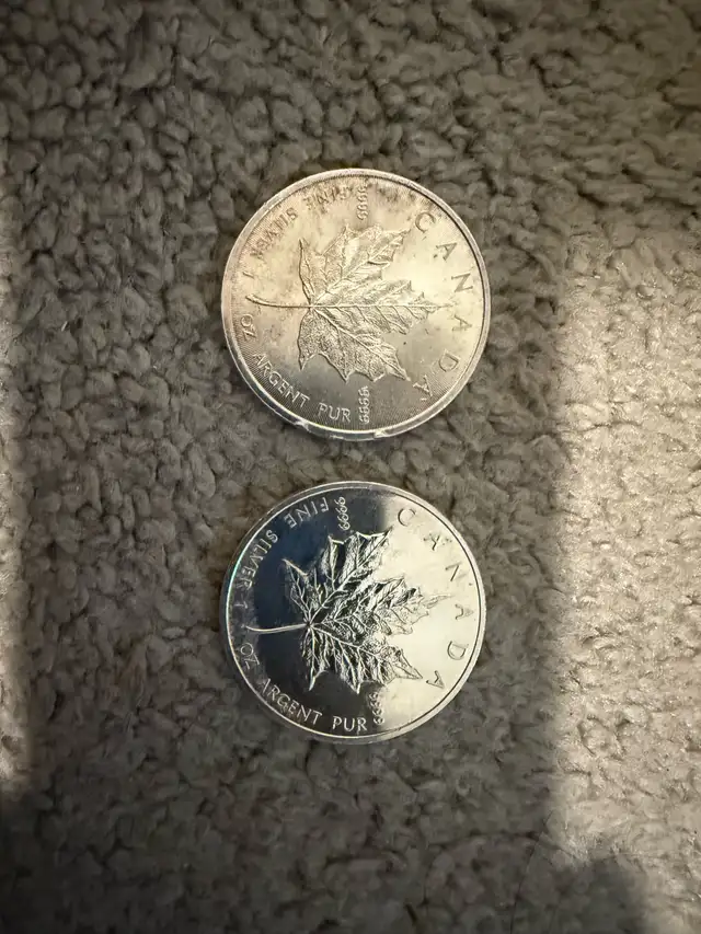 Silver Maple leafs