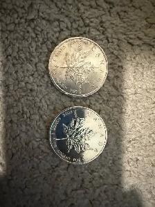 Silver Maple leafs