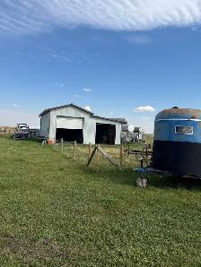Horse boarding - Photo 3