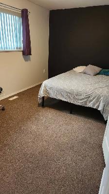 Student Rentals - Photo 2