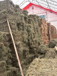 Square Hay Bales - Photo 2