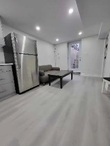 BEAUTIFUL NEW BASEMENT/ROOM  FOR RENT - Photo 3