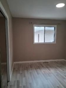 Bright, Renovated 2 Bed Main Floor in Allendale – Pet Friendly - Photo 8