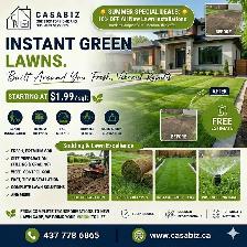 Landscaping/sodding