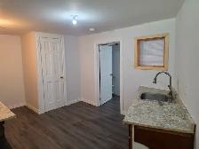A room  with a privet bathroom  in a walkout basement