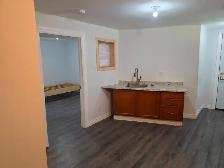 A room  with a privet bathroom  in a walkout basement - Photo 2