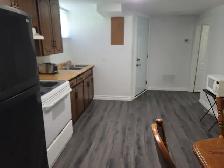A room  with a privet bathroom  in a walkout basement - Photo 10