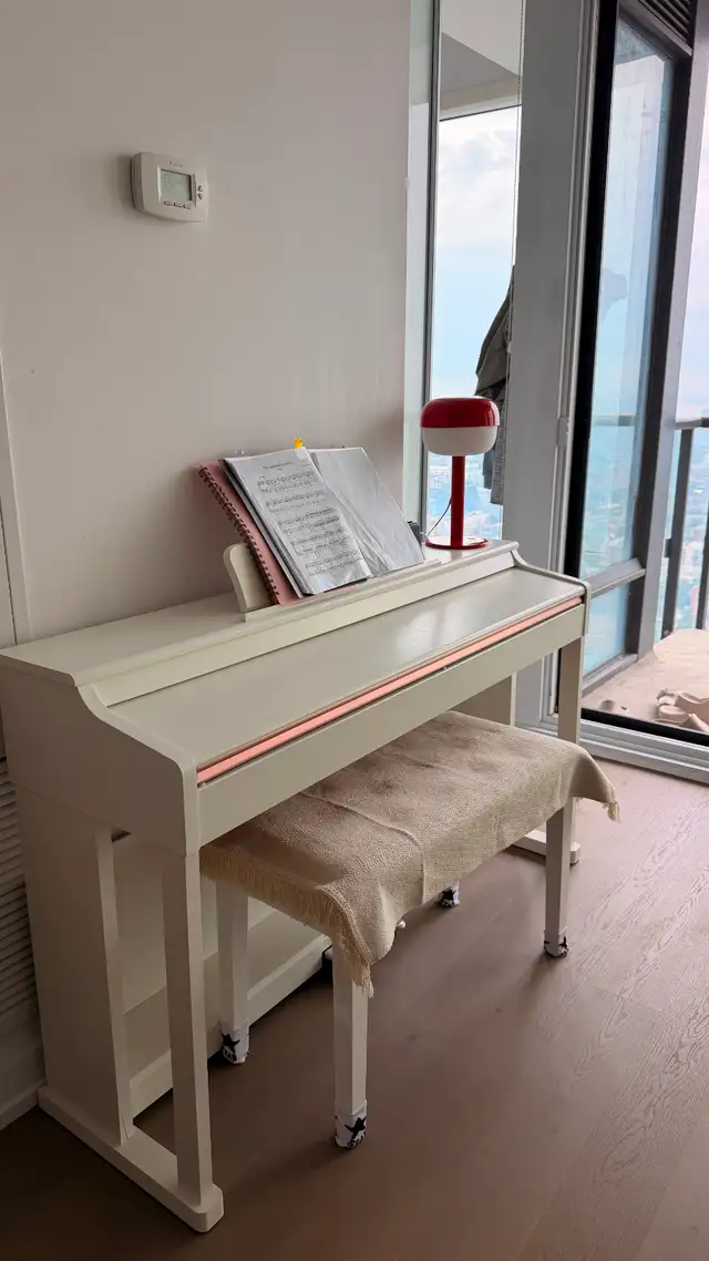 Like New Donner 88-Key Digital Piano & Storage Bench - $530
