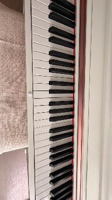 Like New Donner 88-Key Digital Piano & Storage Bench - $530 - Photo 2