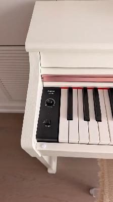 Like New Donner 88-Key Digital Piano & Storage Bench - $530 - Photo 4