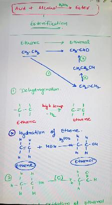 Physics Chemistry Biology Maths Grade 11 -12 Turoring - Photo 2