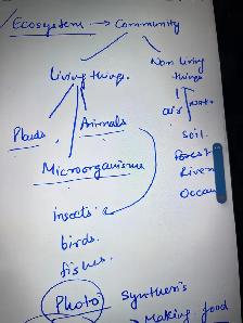 Physics Chemistry Biology Maths Grade 11 -12 Turoring - Photo 6
