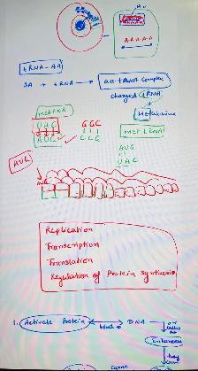 Physics Chemistry Biology Maths Grade 11 -12 Turoring - Photo 8