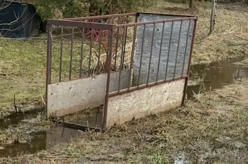 Goat/sheep feeder