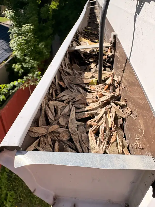 Edmonton Gutter Cleaning & Repairs