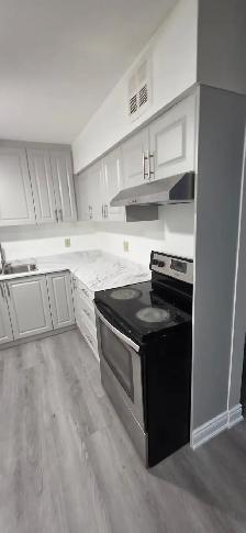 Modern 3 Bedroom 2 Bath Apartment for Rent in London, Ontario - Photo 2