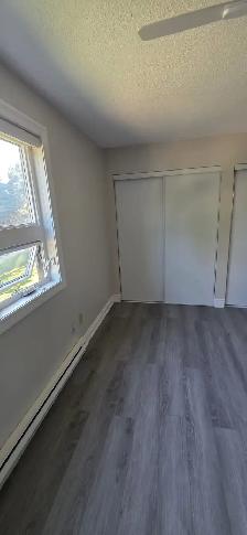 Modern 3 Bedroom 2 Bath Apartment for Rent in London, Ontario - Photo 4