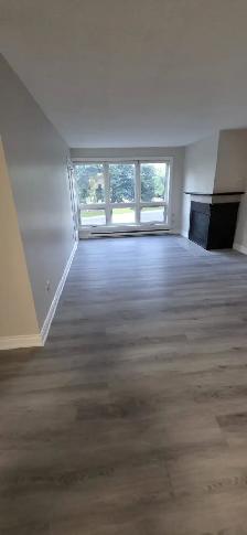 Modern 3 Bedroom 2 Bath Apartment for Rent in London, Ontario - Photo 5